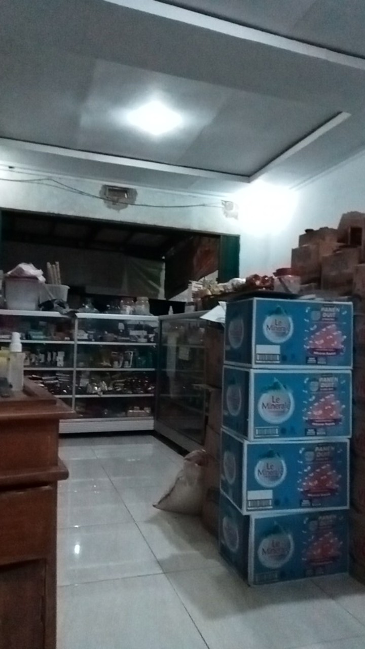 [termurah Shopee] Rak Gantung Dapur Tulip 391