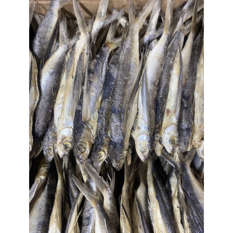 

Ikan Asin Terbang/Indosiar/ Trawani