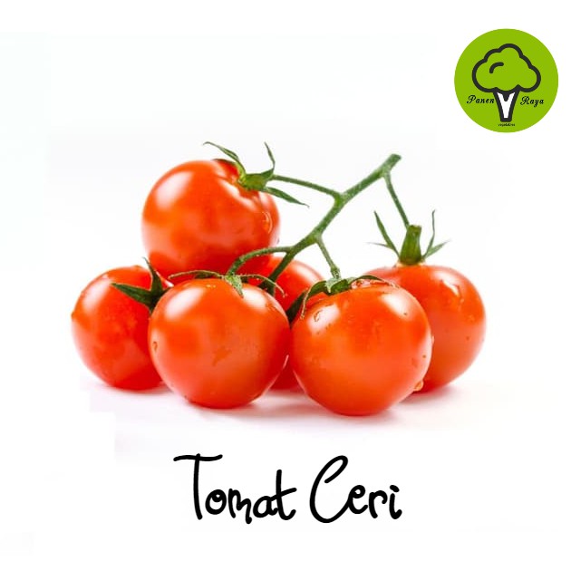 

BUAH / TOMAT CHERRY / TOMAT CERI [250GR]