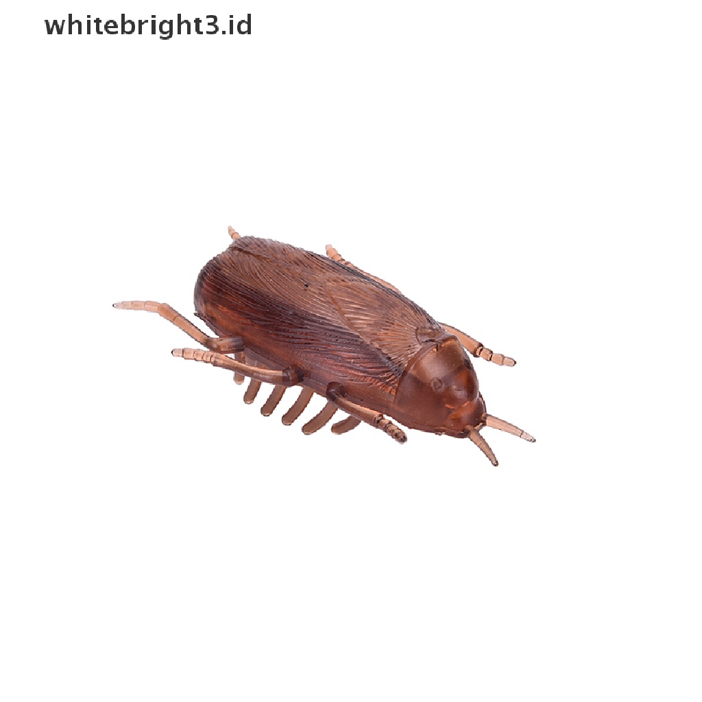 (whitebright3.id) Mainan Interaktif Kecoa Elektronik Tenaga Baterai Untuk Kucing