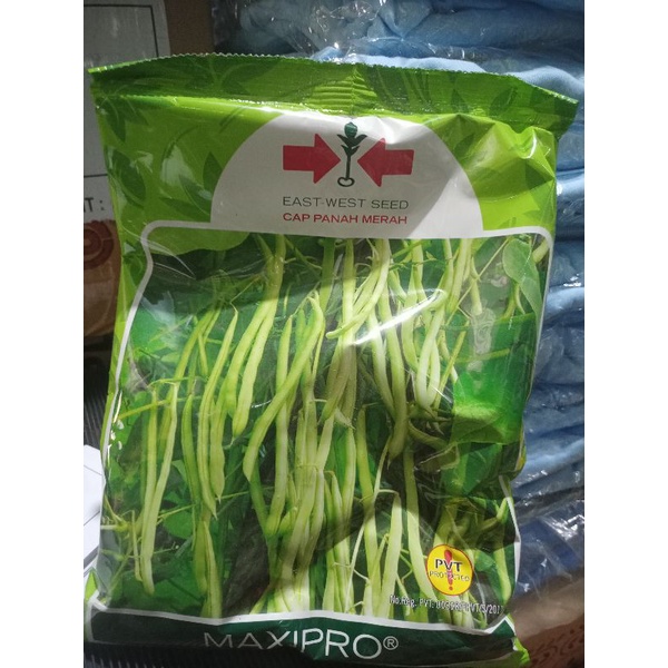 BENIH BUNCIS MAXIPRO