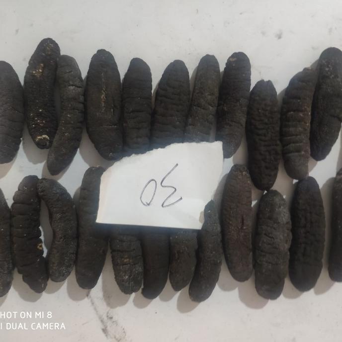 

[COD] teripang/haisom belitung size 30ekorperkilo [COD]