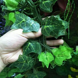 Jual Daun Rambat Plastik IVY 1 meter / Hiasan Dinding / Artificial Fake