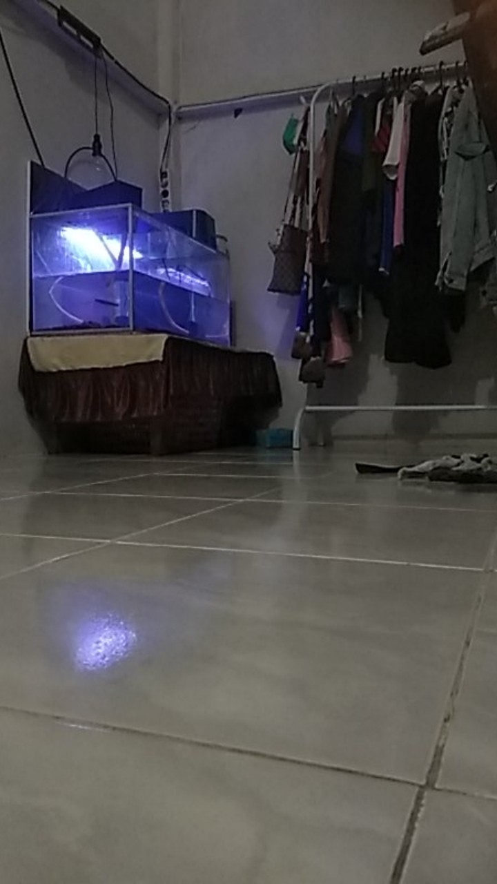 [2500 Gr] Big Stand Hanger Gantungan Baju Topi Tas Multifungsi Vintage Shabby Chic Premium Cod