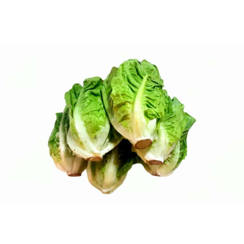 Lettuce romaine /500gram