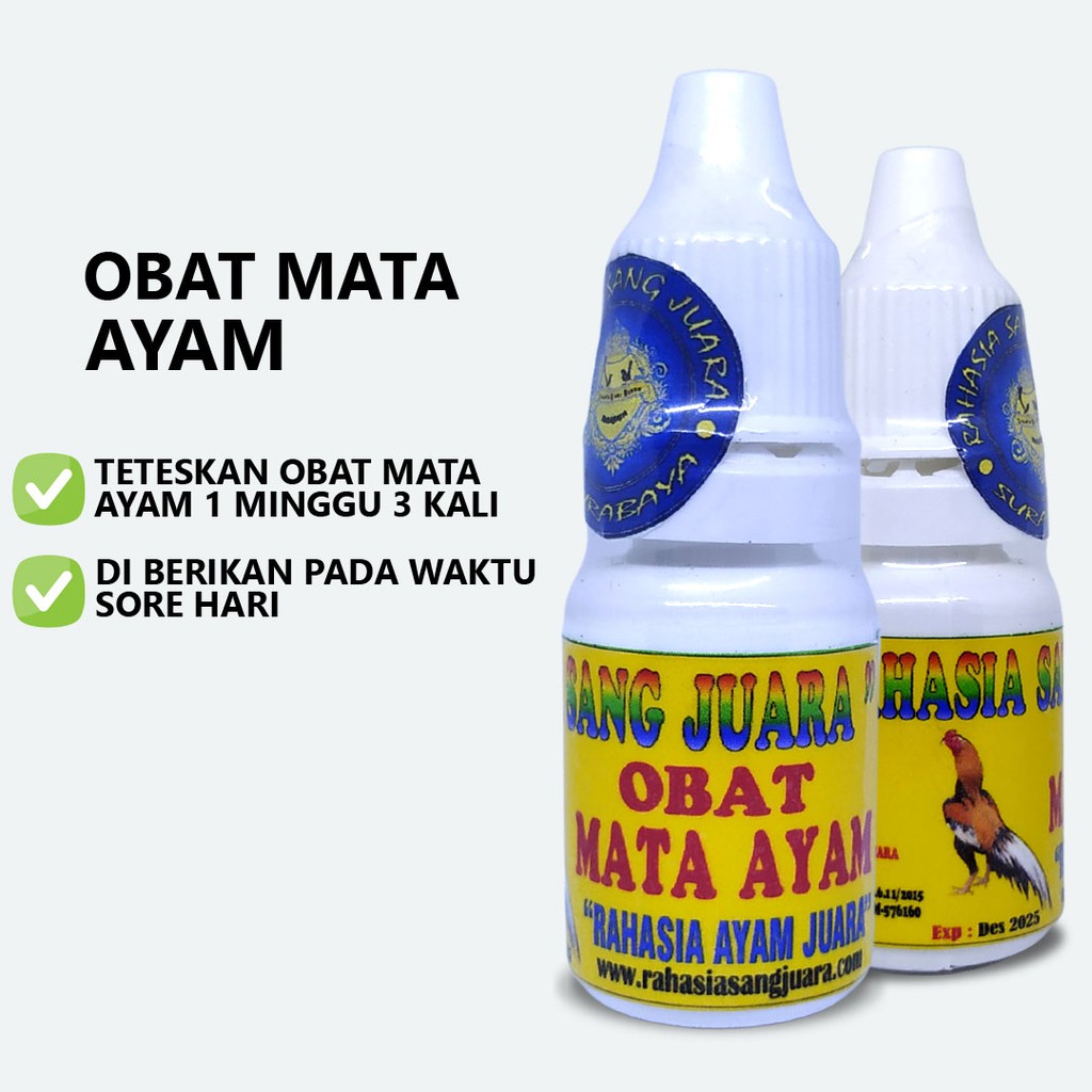 OBAT MATA AYAM BERAIR BERBUSA BENGKAK SNOT KENA JALU SIWER KATARAK