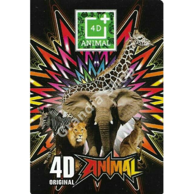 

4D animal card