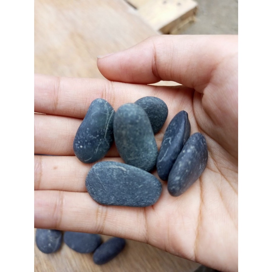 Batu Koral Sikat Hitam Super 10/15