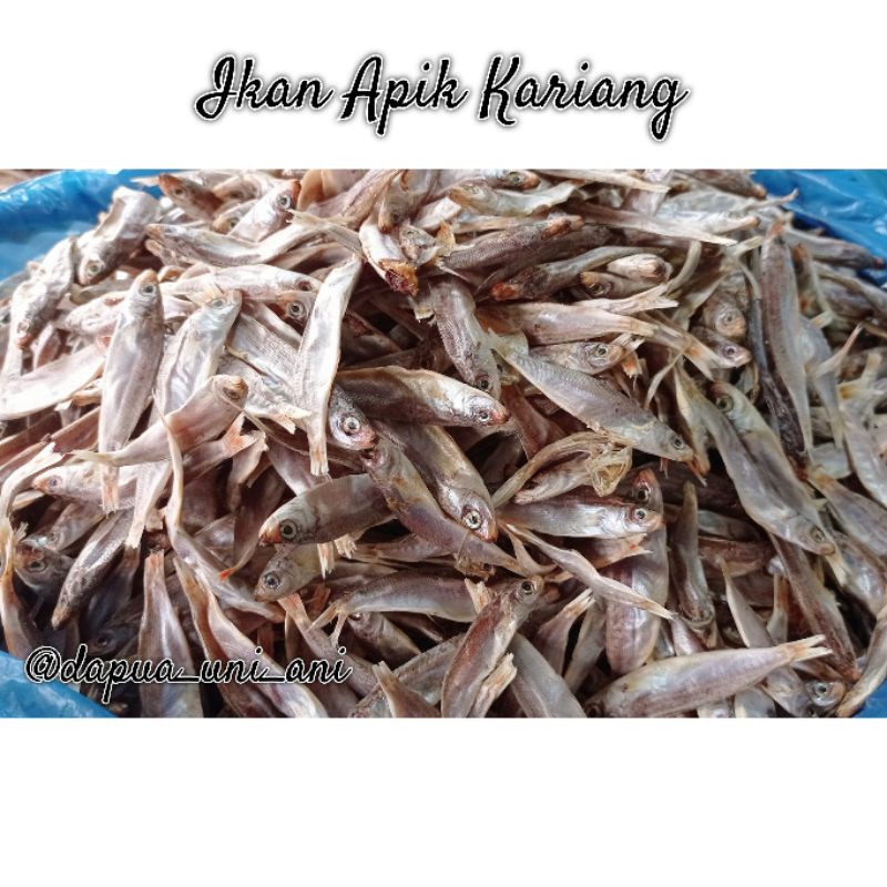 

IKAN ABIK KERING