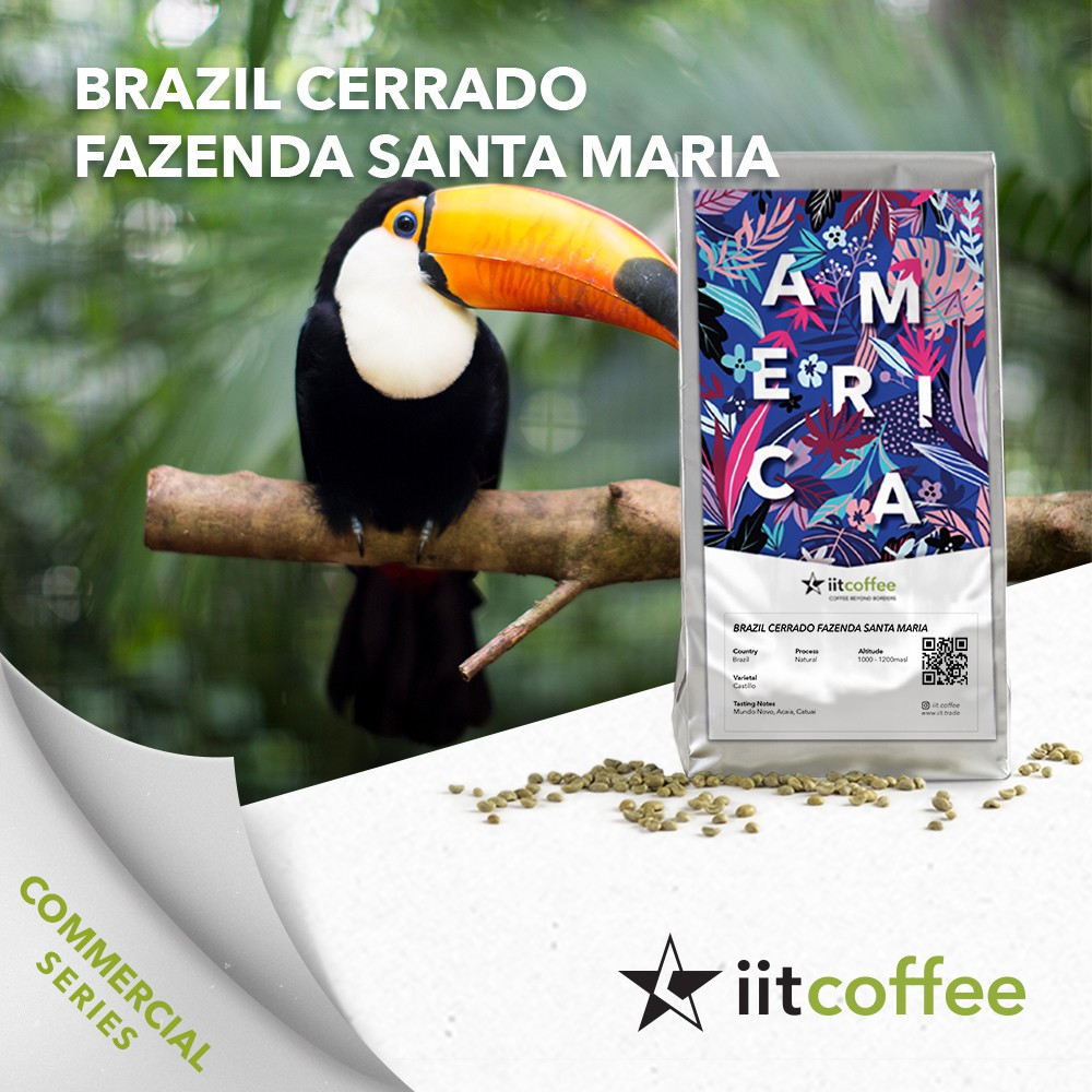 

Arabica Green Beans - Brazil Cerrado Fazenda Santa Maria