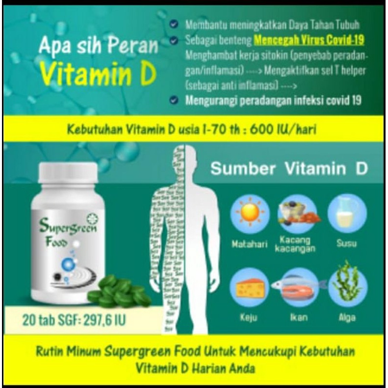 SGF Super Green Food Original Herbal