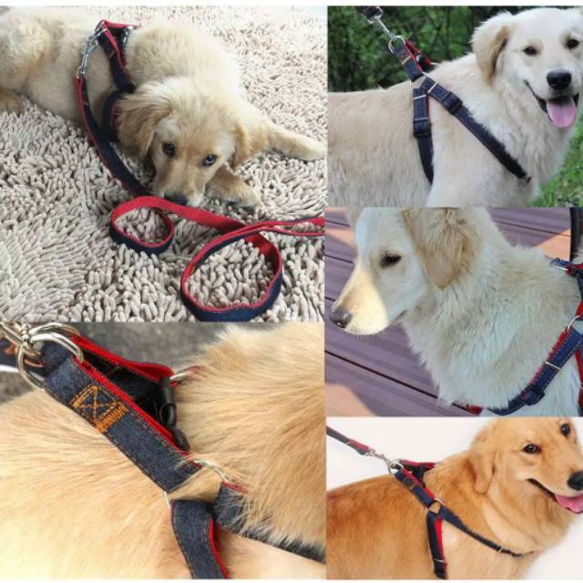 Pet Harness &quot;CLASSIC DENIM&quot; Kalung Tali Tuntun Anjing Besar