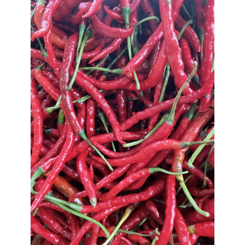 

(SAYUR SEGAR DEPOK) CABAI MERAH KERITING - 250 Gram