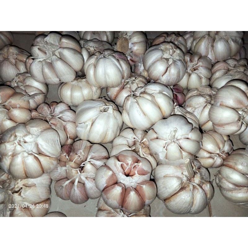 

BAWANG PUTIH SINCO 1/4 (SEPEREMPAT)