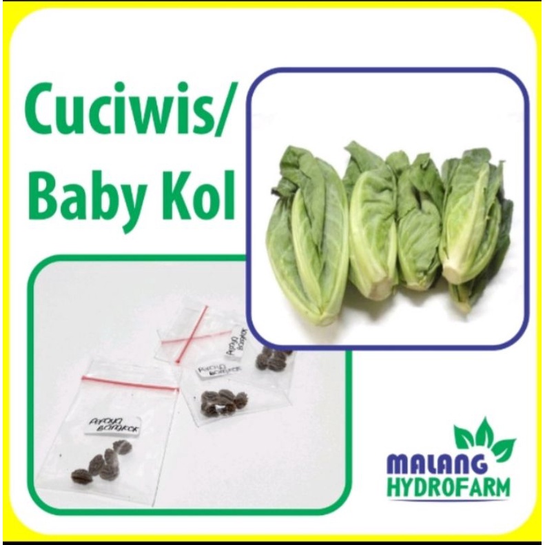 benih bibit sayuran cuciwis