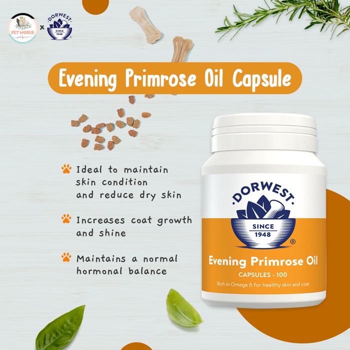 Dorwest Evening Primrose Oil Dog Skin Supplement Vitamin Kulit Anjing Shopee Indonesia