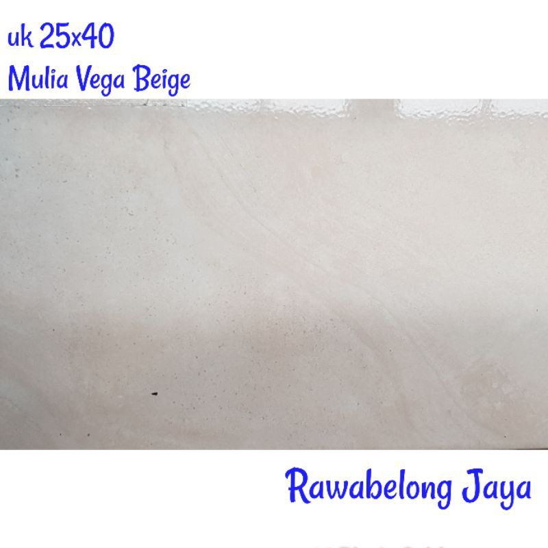 Keramik 25x40 Signature Vega Beige