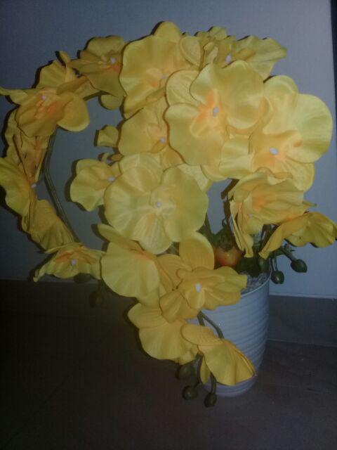 Anggrek Bulan Artificial Jumbo