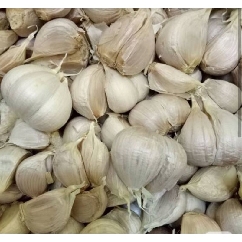 

Murah - Bawang putih Kating
