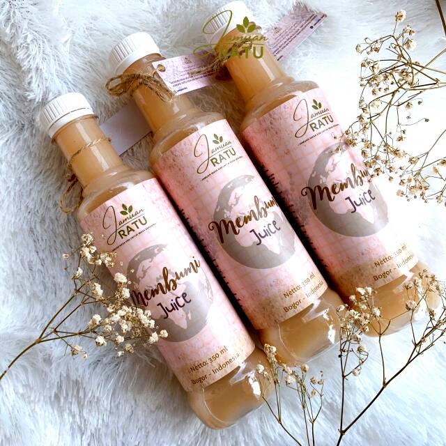 

( READY STOCK) Jamuan Ratu Cabang Sumatera Barat - Membumi Juice