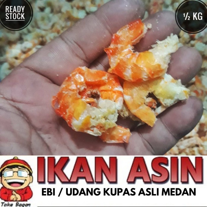 

EBI / UDANG KUPAS / UDANG TANPA KULIT 500 gr