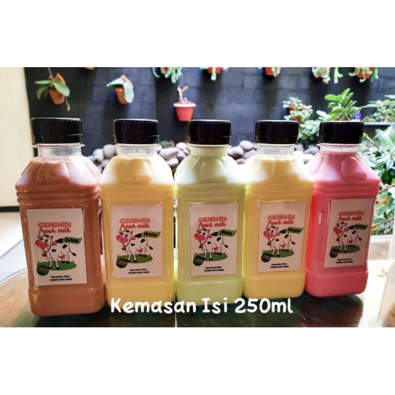 

Susu Segar Gendhis Fresh Milk
