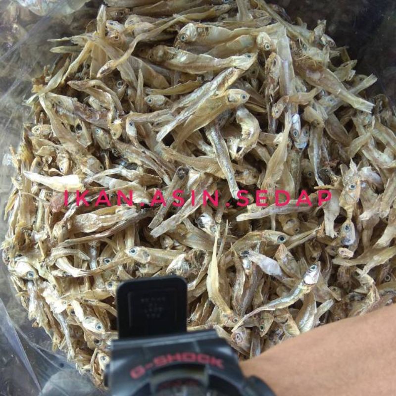 

Teri Tawar 100GR TIDAK ASIN