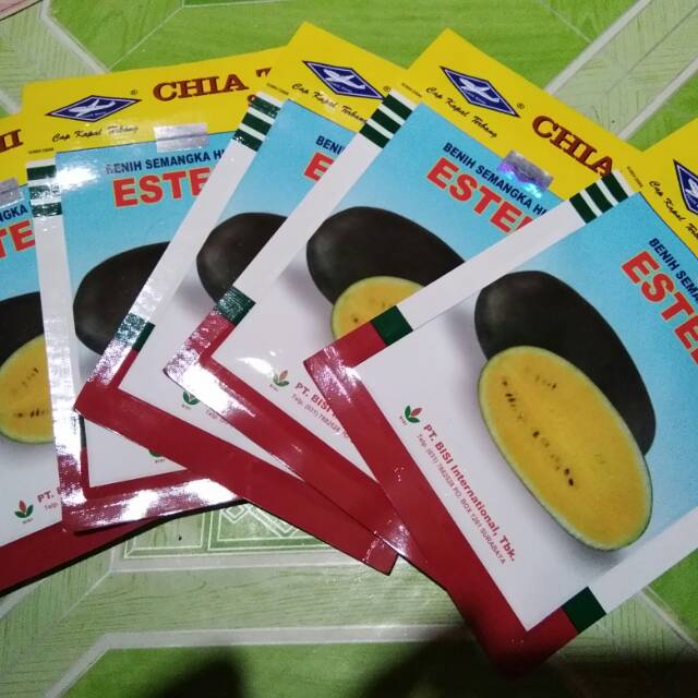 Bibit Semangka Inul Esteem