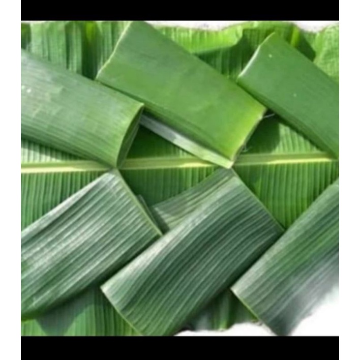 

daun pisang muda