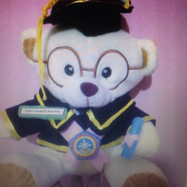 

Boneka wisuda 45cm custom name tag dan lambang universitas
