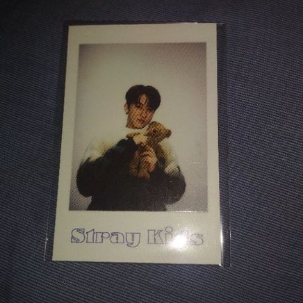 Changbin Pola SG22 Stray Kids