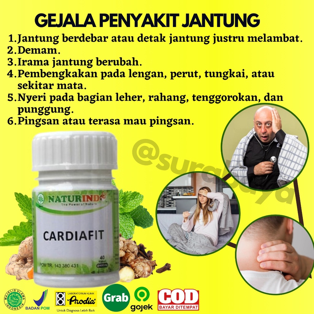 Obat Jantung Koroner Obat Jantung Lemah Telapak Tangan Berkeringat Obat Jantung Herbal Jamu Jantung Sesak Nafas Obat Herbal Perawatan Jantung Jantung sering Berdebar Nyeri Dada sebelah Kiri Tradisional BPOM CARDIAFIT Naturindo Surabaya-3