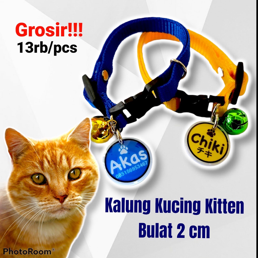 Kalung Kucing Kitten Nama Custom