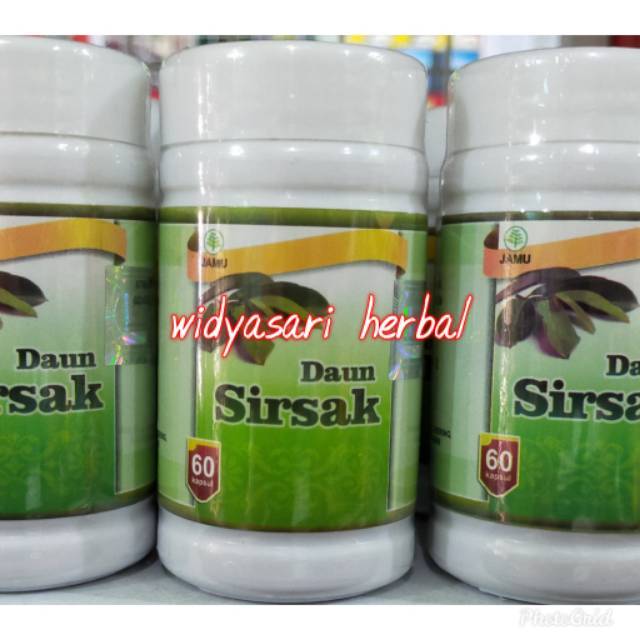 KAPSUL DAUN SIRSAK