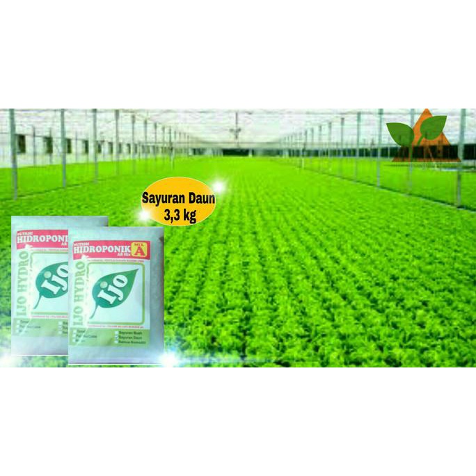 Nutrisi AB Mix 3,3 Kg IJO Sayuran Daun/ Pupuk / Hidroponik