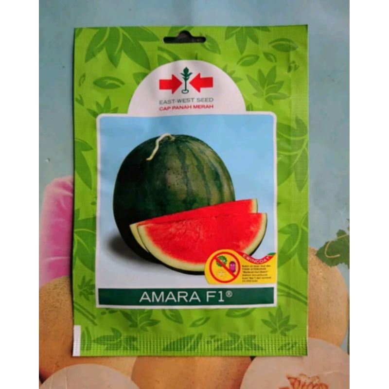 Benih Bibit Semangka Non Biji AMARA F1 25bj