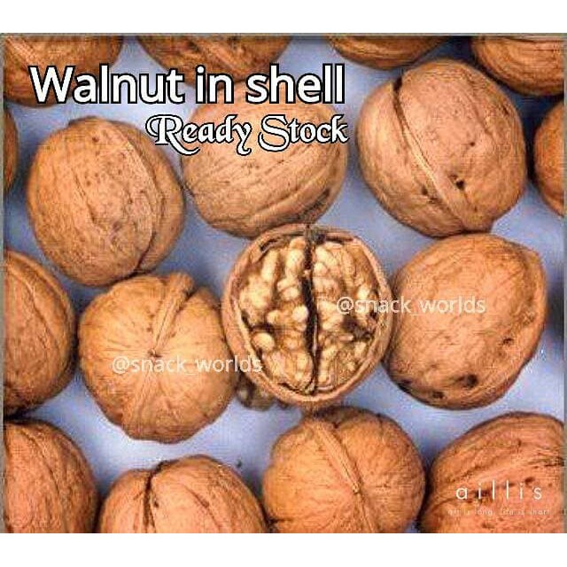 

Walnut in shell (kulit) original (plain/tawar) termurah