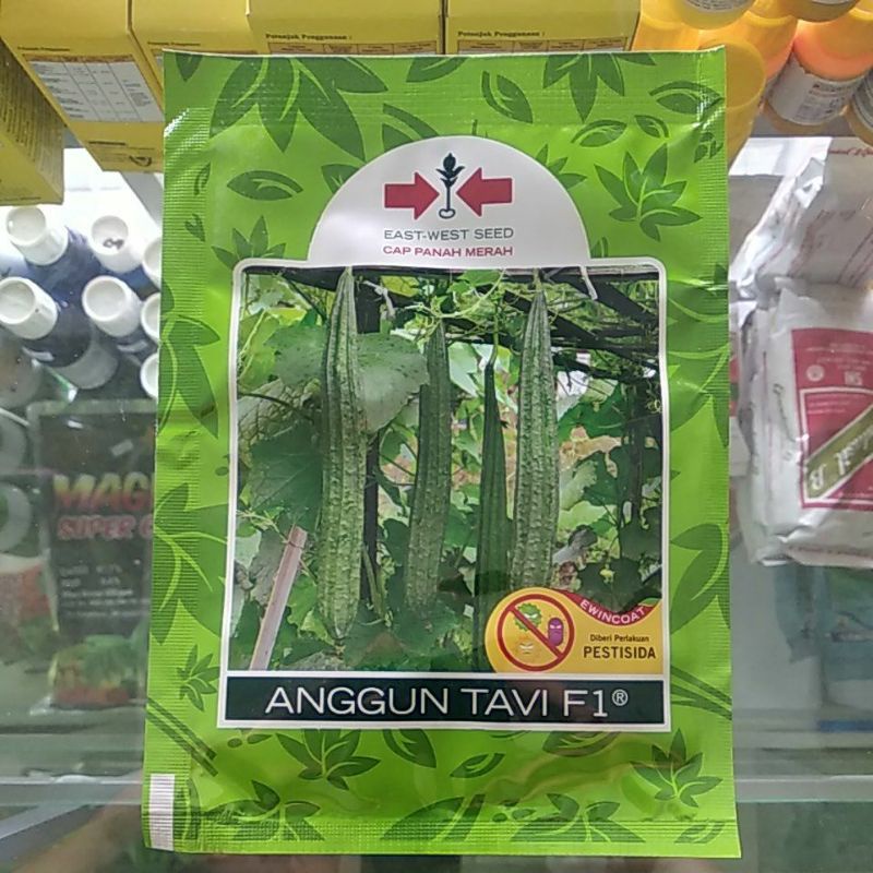 Anggun Tavi F1 Benih Oyong Hibrida