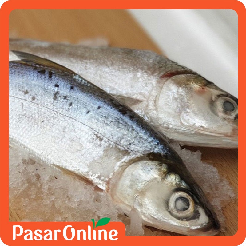 

Ikan Bandeng Frozen - 1 kg