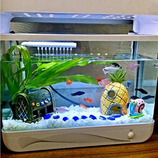 Akuarium 30x15x15 Akuarium Aquascape Akuarium Ikan Cupang  