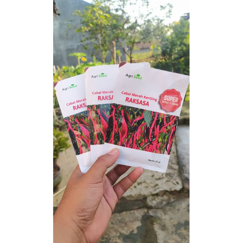 CMK RAKSASA - SUPER KERAS DAN TAHAN LAYU FUSARIUM
