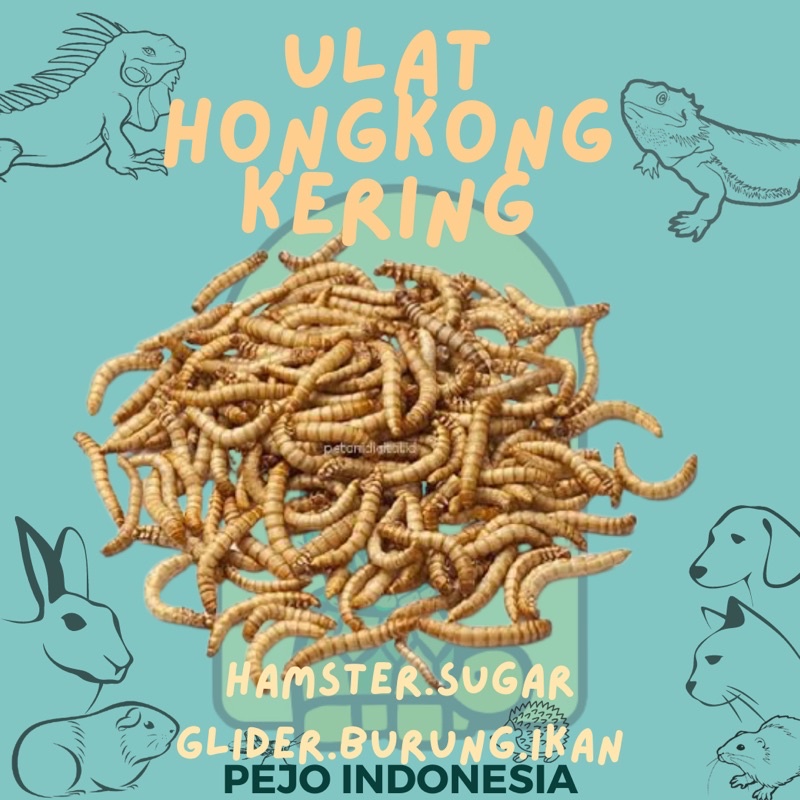 Ulat Hongkong Kering Pakan Makanan Hamster Burung Sugar Glider Ikan Landak Mini