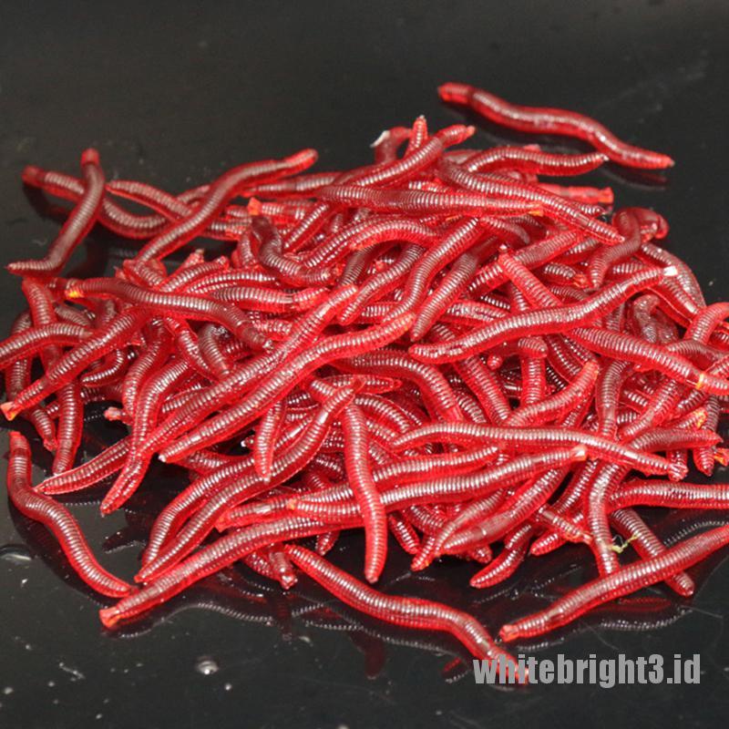 100 Pcs Umpan Pancing Soft Bait Bentuk Cacing Tanah Bahan Karet Silikon Warna Putih