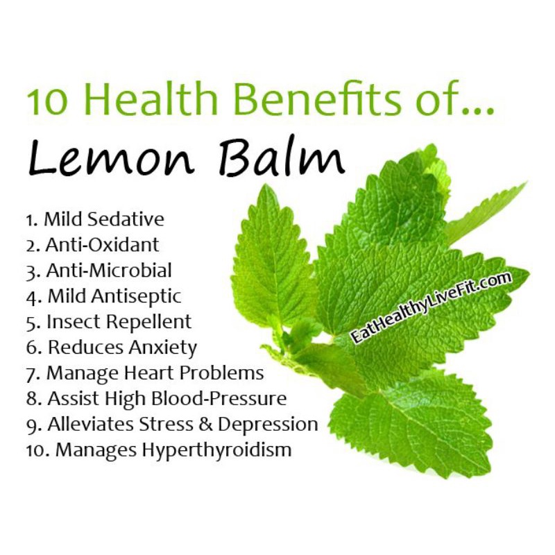 Dried Lemon Balm Leaf / Balm Mint Tea (100 Gram)