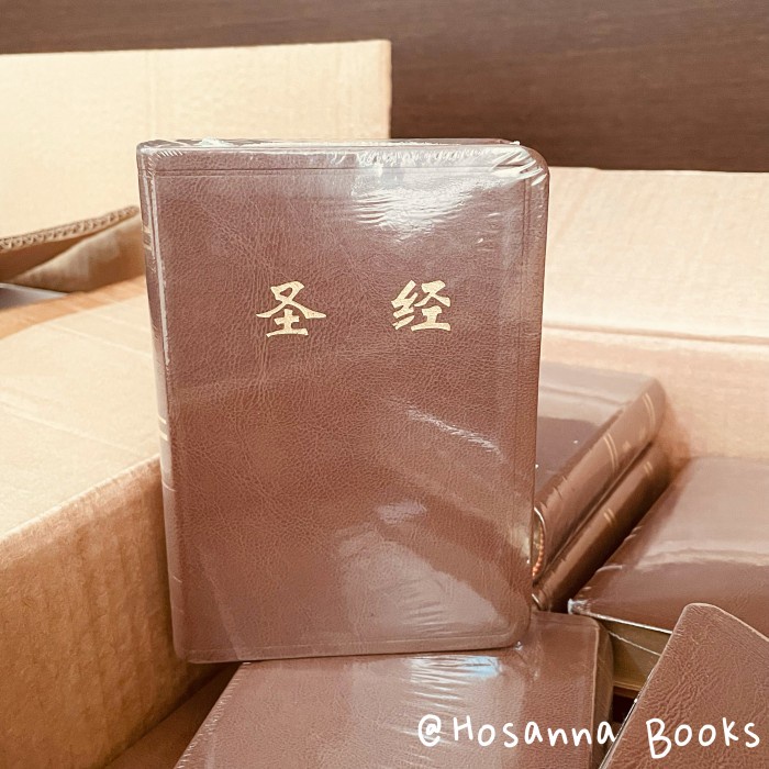 Alkitab Mandarin (Chinese Bible) Small