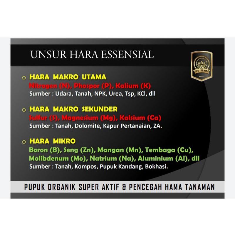 Pupuk Organik ECO Farming, ECO Racing