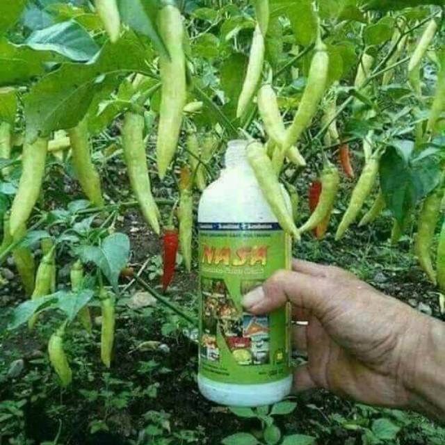 Pupuk pelebat buah/ perangsang buah cabe /pupuk poc nasa 250cc