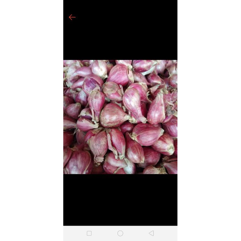 

bawang merah