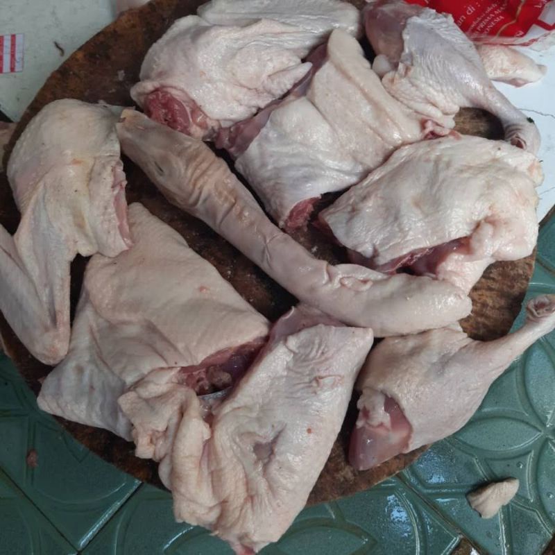 

Termurah bebek pedaging parting dan karkas 1,5 kg