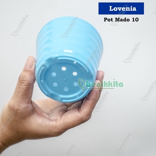 Jual Pot Tanaman Bunga Warna Mado 10 Lovenia Indonesia Shopee Indonesia